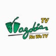 Icon of program: Wazobia TV Nigeria