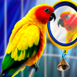 Icon of program: Home Pet Parrot Simulator
