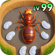 Icon of program: Ant Kingdom: Survival War