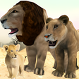Icon of program: Lion Family Simulator 202…