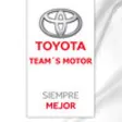 Icon of program: Toyota Teams Motor