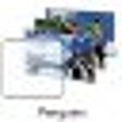 Icon of program: Penguins Windows 7 Theme