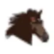 Icon of program: Visual Horse