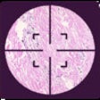 Icon of program: myDermPath
