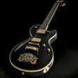 Icon of program: electric guitar professio…