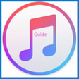 Icono de programa: iTunes user guide for Win…