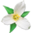 Icon of program: Washington Wildflowers