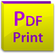 Icon of program: PDF PRINT