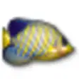 Icon of program: Animated Fish Desktop Wal…