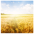 Icono de programa: Meditation for Abundance