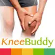 Icon of program: Knee Buddy