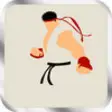 Icon of program: Pro Game - Street Fighter…