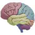 Icono de programa: 3D Brain