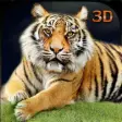 Icon of program: Hungry Wild Tiger 3D Simu…