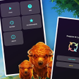 Icon of program: Loopraze