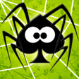 Icon of program: Spider Solitaire Web rule…