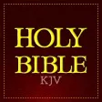 Icon of program: KJV Bible Offline -Audio …