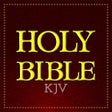 Icon of program: KJV Bible Offline -Audio …