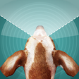 Icono de programa: Dog Vision Simulator