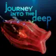 Icon of program: Journey Into the Deep