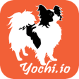 Icon of program: Yochi On Demand