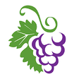 Icon of program: Purpura Datos