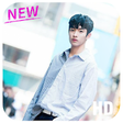 Icono de programa: DK Seventeen Wallpapers: …