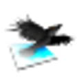 Aviary Raven icon
