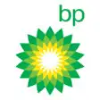 Icon of program: BP Review of World Energy