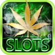 Icon of program: Lucky Weed  Free slots