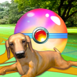 Icon of program: Puppy GO
