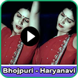 Icon of program: Bhojpuri Haryanavi Dance …