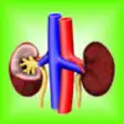 Icon of program: Kidney Diseases Facts: Ur…
