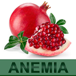 Icono de programa: Anemia Care Diet & Nutrit…
