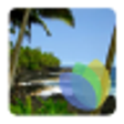 Icon of program: Hawaiian Waves Video & Al…