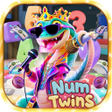 Icon of program: Num Twins