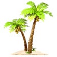 Icon of program: Paradise Beach