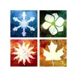 Icon of program: The Lodge of Four Seasons