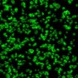 Icon of program: MicroLife Screensaver