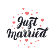 Icon of program: Just Married Wedding Plan…