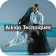 Icon of program: Learn Aikido Techniques &…