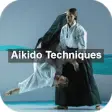 Icon of program: Learn Aikido Techniques &…
