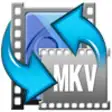 Icon of program: iFunia MKV Converter