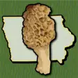 Icon of program: Iowa Mushroom Forager Map…