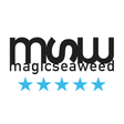 Icon of program: MSW Surf Forecast