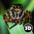 Icon of program: Poisonous Tarantula Spide…