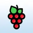 Icon of program: Miracle Grapevine