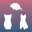 Icon of program: Rat.Cat.Dog - A Gobblet G…
