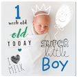 Icono de programa: Baby Milestone  Photo Edi…