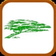 Icon of program: Branch Out Tree Service -…